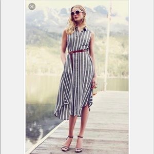 Holding Horses Shirt Dress